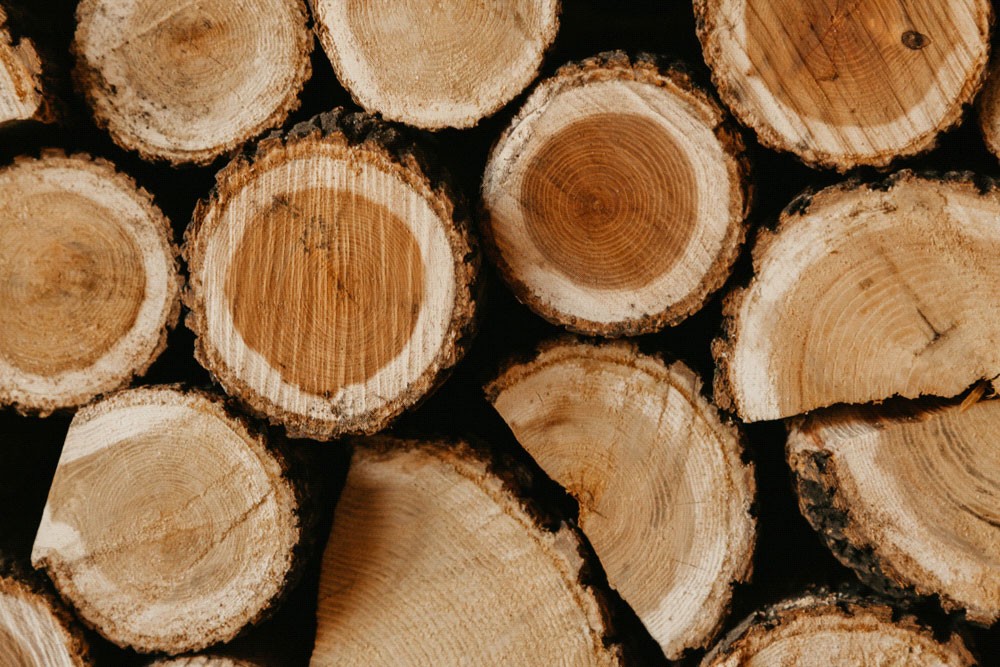 Réduire sa consommation d’énergie grâce au bois de chauffage